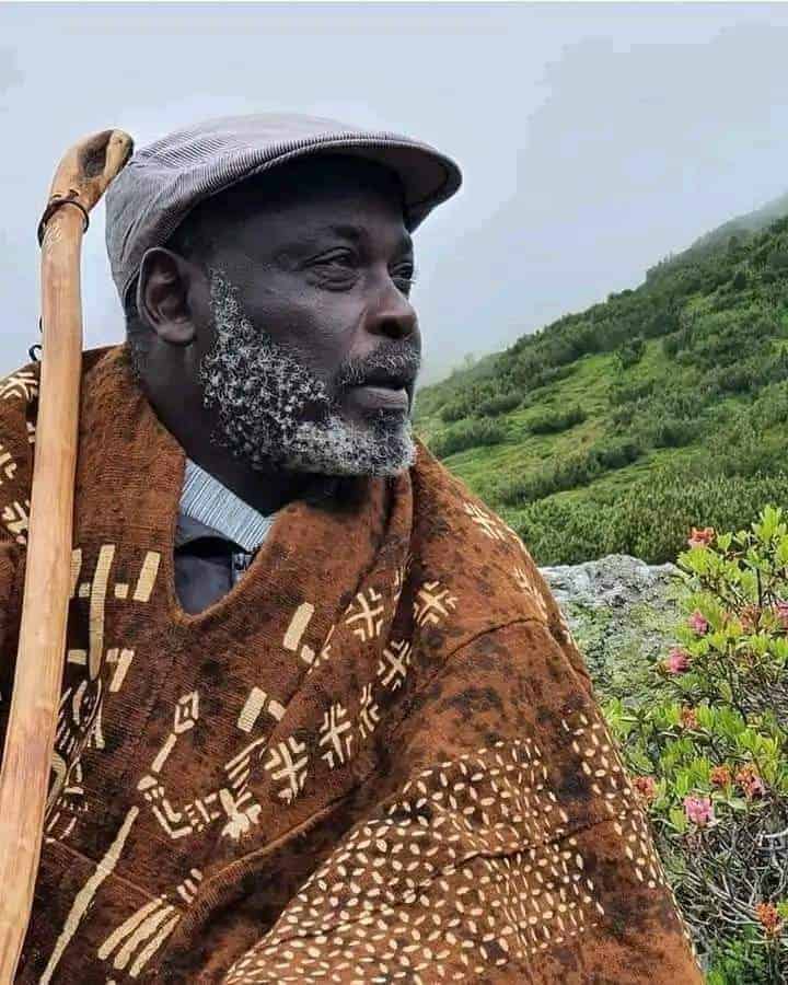 Photo of Abdelaziz Baraka Sakin